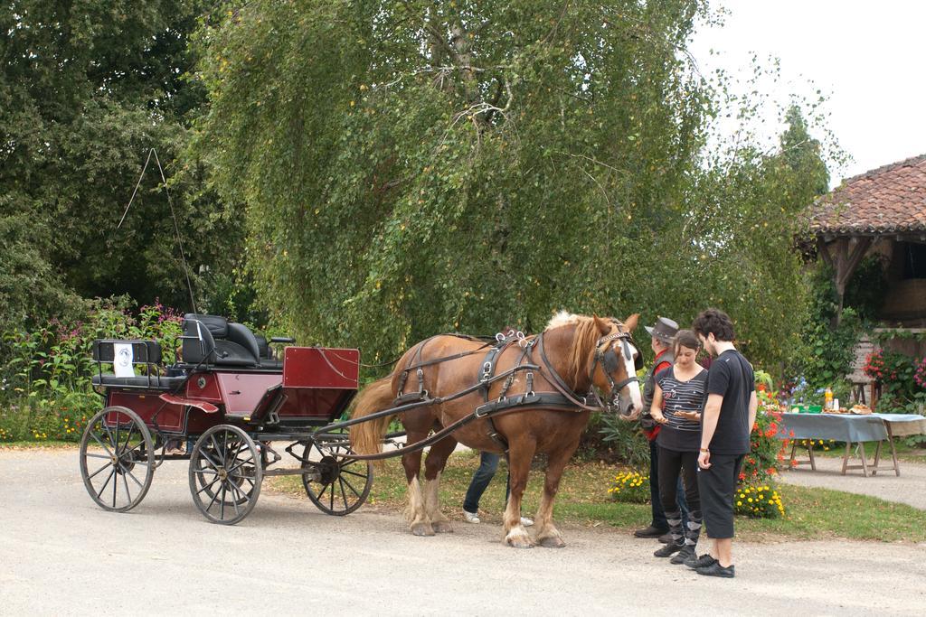 Ferme De Montalibord Villa Vescours Bagian luar foto