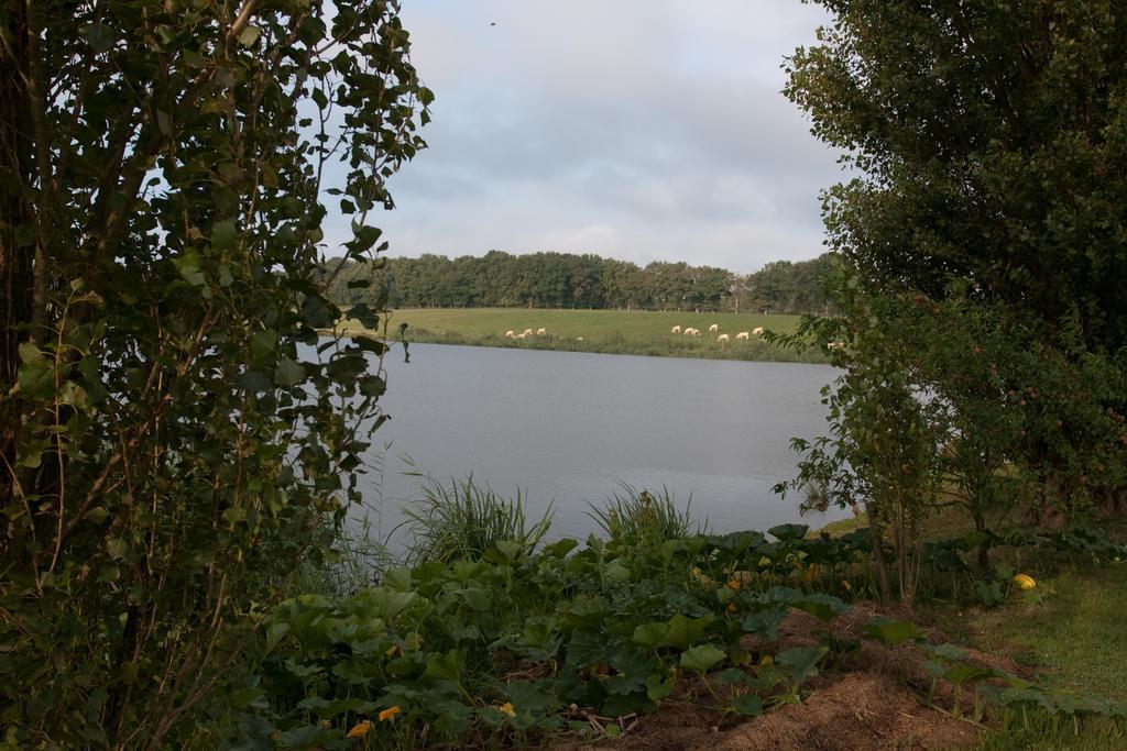 Ferme De Montalibord Villa Vescours Bagian luar foto