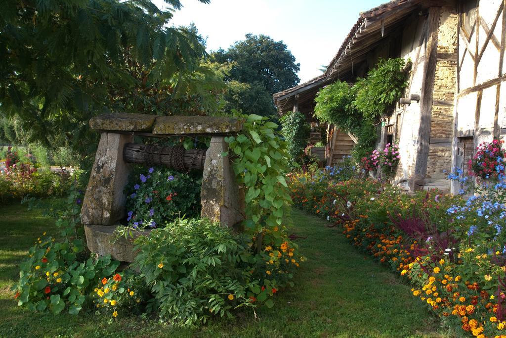 Ferme De Montalibord Villa Vescours Bagian luar foto